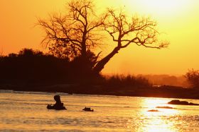 Nijlpaarden bij zonsondergang