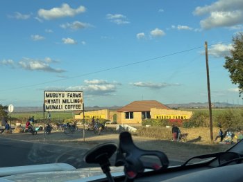 Munali koffieplantage